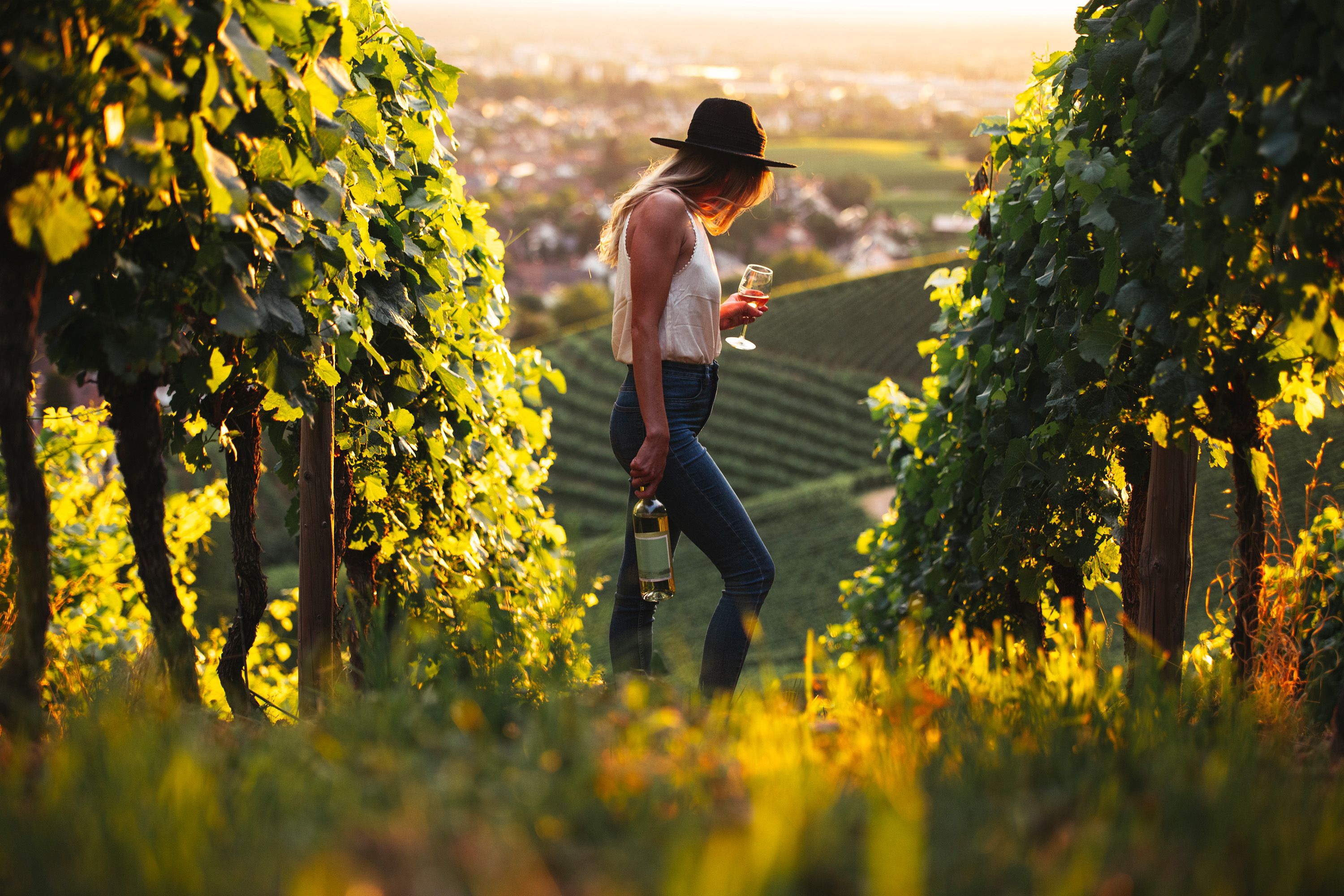 Penzion U Žabáka Mikulov